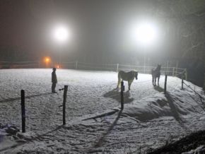 Reitplatz mit Beleuchtung im Winter