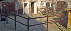 Außenstall mit Paddock